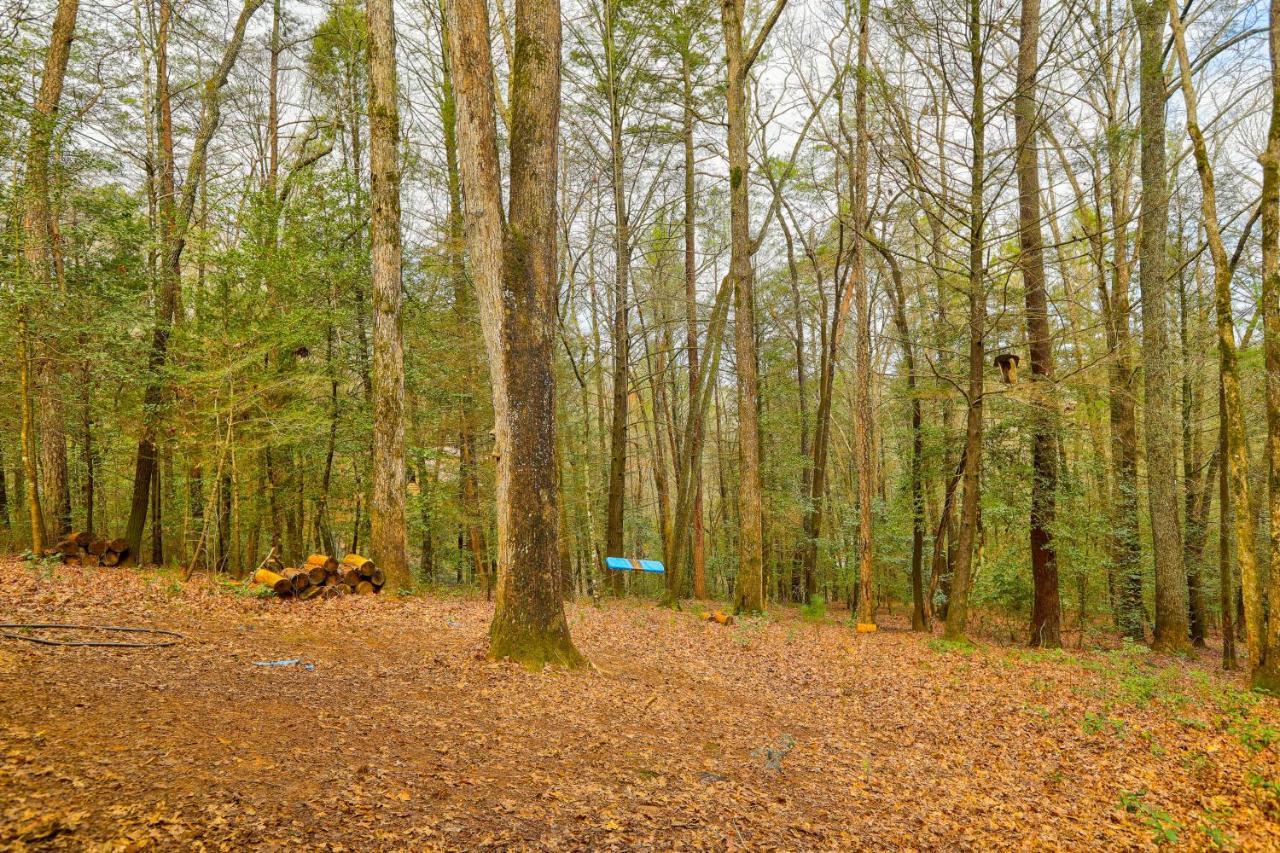 Vila Bear In The Woods Blue Ridge Exteriér fotografie